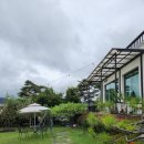 화순전남대학교병원(급식) | 화순 고인돌 가을꽃 축제 가기 전 들른 화순양식맛집 황금독수리