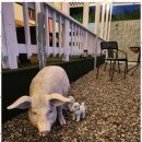 삼천포마리나펜션 이미지