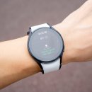 보리네 뜰 | 갤럭시 워치5 골프에디션 사용 후기:: 시계형 골프거리측정기 골프버디 스마트 캐디 라운딩