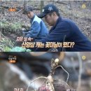 삼싹농장 이미지