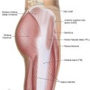 몸그리다 이미지