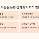 펫아울렛수영