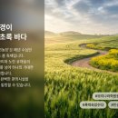 GS25 고창중앙점 | “2026 고창 청보리밭 축제 완벽 가이드｜일정·주차·사진 명당·후기 총정리”