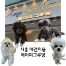 에이미 그루밍 이미지