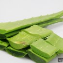 서울화봄의원 네이버블로그