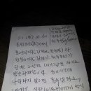 호랑이와 원숭이 띠 한판 승부하는 날 이미지