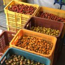 이규호농장 이미지