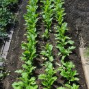 길복농장 이미지