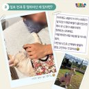 사람이 무섭던 강아지의 임시보호 이야기 이미지