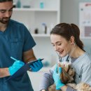 24시 코끼리동물의료센터 이미지