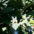 스테이 이공 이미지