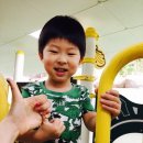 숲속이삭어린이집 이미지