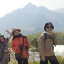 오렌지꽃향기는바람에날리고