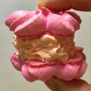 GS25 구로벚꽃점 | 🌸 GS25 벚꽃 디저트 신상! 벚꽃마카롱 실물 후기 (+봄 감성 제대로 터짐)