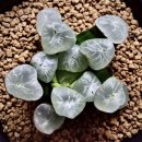 만상농장 이미지