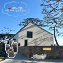 강화남로 | 강화도 여행: 대룡시장, 하우스하일(카페), 힐링 11번가 펜션 후기 ☺️🤍🐈