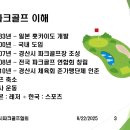 파크골프의 탄생과 발전: 창시자, 역사, 그리고 글로벌 확산 보고서 이미지