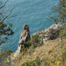 추자대물민박 이미지