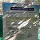 장호원 레포츠공원 축구장 | 15분도시 부산, 황령산 레포츠공원에 다녀오다!
