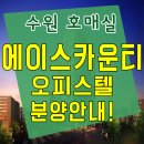에이스카운티공인중개사사무소 이미지
