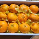 연님농장 이미지