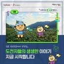 해파랑길9구간 | [카카오X한국관광공사] 대한민국 한 바퀴 챌린지 후기 1편
