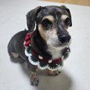 나미 소식 이미지