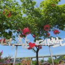 신라불교초전지 이미지