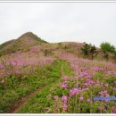 백이산