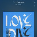 다함다이브
