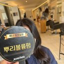 세나헤어살롱 | 여의도미용실 준오헤어 KBS별관점 세나부원장 | 자연스러운 볼륨펌 받은 후기