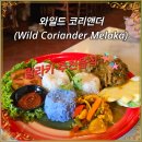 코리앤더 | [말라카 추천맛집] 와일드 코리앤더(Wild Coriander Melaka): 말라카 여행객들이 검증한 전통 맛집