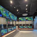 아레나피씨 이미지