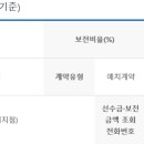 디딤돌의전