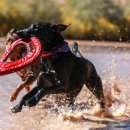 리더스 동물병원 이미지