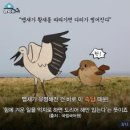 ◆＜一讀＞사법부를 말아먹은 김명수의 추태를 본받는 저질 법원노조 이미지