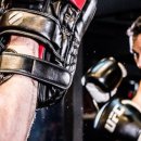 스타일복싱 이미지