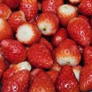 사곡 싱싱과일상회 | 천안농수산물도매시장 18번 <꼴통상회>장희딸기 &amp; 제주 위미귤 프리미엄과일 구매 후기