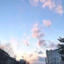 길손네 | 푸짐한 전주 닭도리탕 맛집 길손네