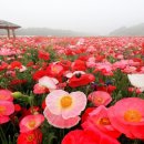 상림다볕당 이미지