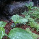 애지농장 이미지