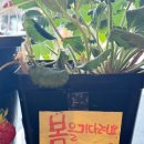 팔도고기마을 이미지