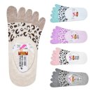 폴로클럽 이미지