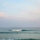 (주)테라네트워크 | 도망쳐 온 곳에 강릉이 있다.