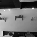 커픽(CUPEAK) 이미지