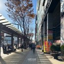 둔촌대로(대로3-10) | 김장 준비는 N년차 방문 중인 모란젓갈에서 (위치, 젓갈 종류)