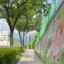 성지연꽃길 네이버블로그