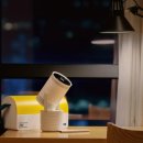 스테이안 이미지