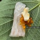 무안우체국 화장실 | [남악맛집]또또또간집 바다로회수산/내돈내산 솔직후기