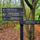 항동근린공원 - 2450 | 항동근린공원